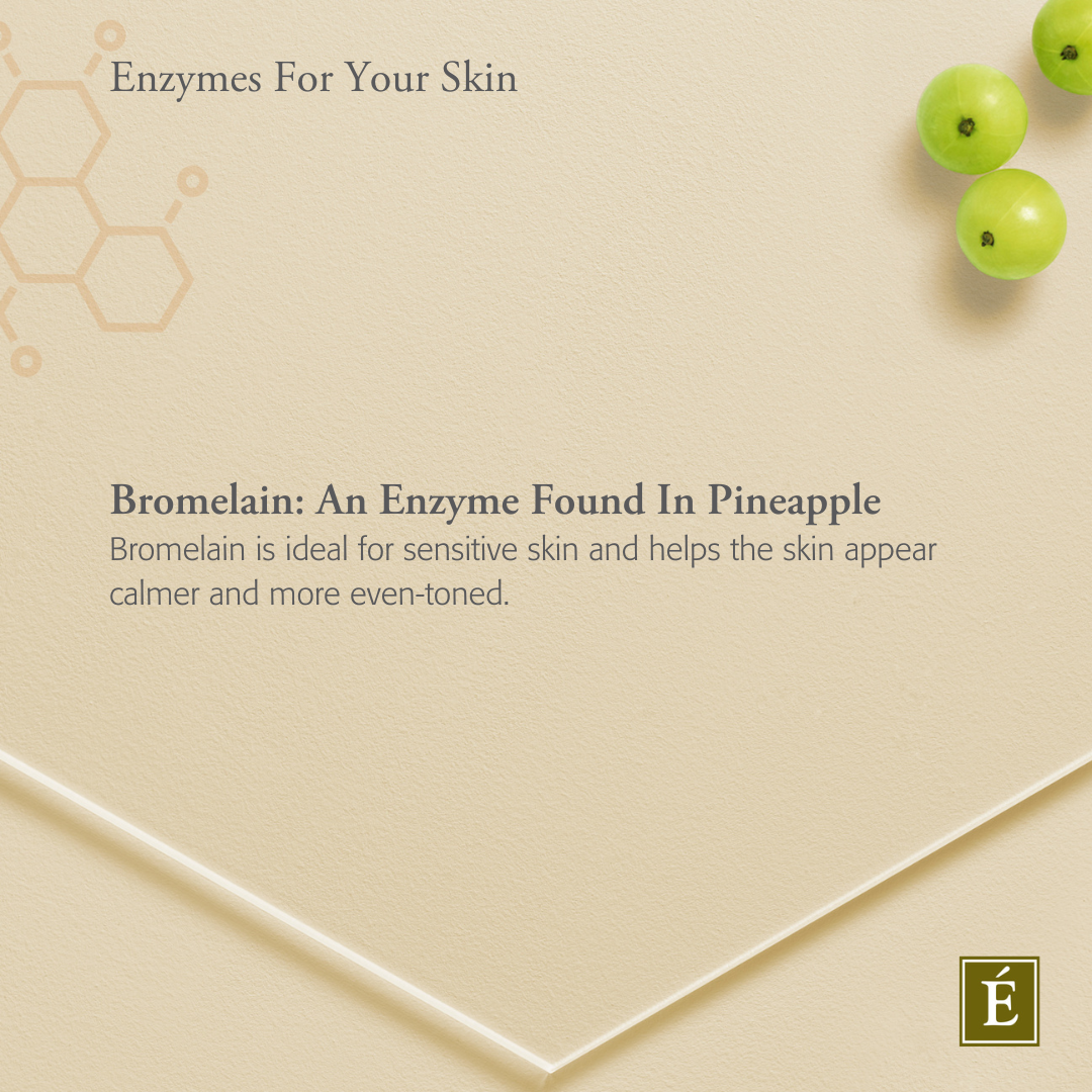 Barbados Cherry Enzyme Cleansing Powder